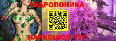 бошки Обнинск