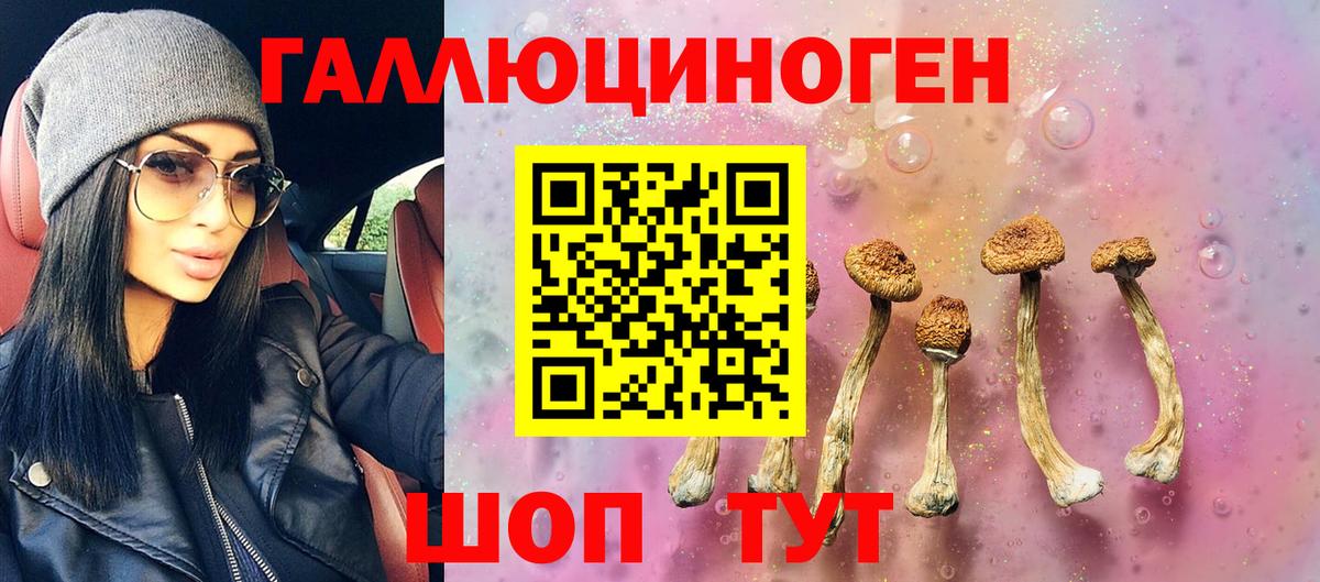 Саратов  магазин продажи наркотиков  Галлюциногенные грибы прущие грибы  Вход с VPN  Псилоцибиновые грибы MAGIC MUSHROOMS 